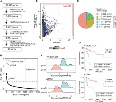 FOXD1 is associated with poor outcome and maintains tumor-promoting enhancer–gene programs in basal-like breast cancer